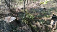 Klinci danju krali drva za ogrev iz šuma Bogatića: Dolijali kad se Žika zainatio