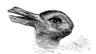 Da li vidite zeca, patku ili oboje: Odgovor otkriva da li ste racionalista, emotivac ili kreativac