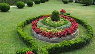 Lepota u domaćinstvu Đurića na Rudniku: Dvorište su sredili po stilu vrtova srednje Evrope
