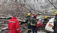 Drvo palo na automobil na Novom Beogradu, ljudi zarobljeni u vozilu