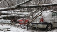 JKP "Zelenilo" dobilo više od 100 prijava polomljenih stabala: Drveće padalo na kolovoz i automobile