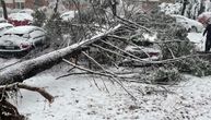 Sneg obara stabla i bandere po Beogradu: Autobusi ne mogu da prolaze