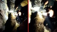 Vatrogasci gasili požar pa pronašli skoro beživotne mačiće: Herojskim činom vratili životinje u život