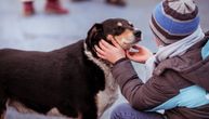 Jupi je prvi pas koji u Hrvatskoj pomaže deci na psihijatriji: Zabavlja ih i mazi, odvraća od samoubistva