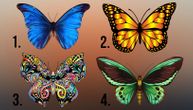 Psiho test: Odaberite leptira i otkrijte šta da uradite da dobijete više od života