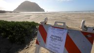 Ajkula usmrtila surfera: Plaže bile otvorene, vlasti zabranile plivanje na 24 sata