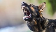 Poznato stanje ljudi koje je napao pas u Žarkovu: Životinja "bila nervozna"