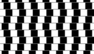 Iluzija zbog koje nećete verovati svojim očima: Da li su linije zakrivljene ili ravne?