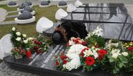 Slomljena Bekuta kleknula pored groba i plakala: Potresne slike sa pomena, 40 dana od smrti Milutina Mrkonjića