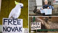 Australijske životinje koje žive u Srbiji imaju jasnu poruku: Free Novak!