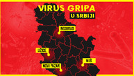 Jedan virus cirkuliše u 4 grada u Srbiji: Saznali smo i imali flurone kod nas (MAPA)
