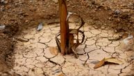 Čubrilo o šansama za ublažavanje "katastrofalne suše": Ovo su datumi kada se očekuju velike padavine