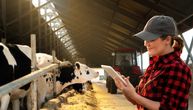 Spas za  stočare: Sistem prepoznaje oboljenja kod krava, "rešava" manjak radnika, smanjuje emisije