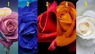 Test podsvesti: Odaberite ružu i saznajte šta vas vodi u životu, a šta krijete od drugih