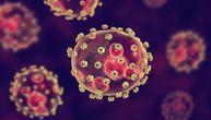 Prva žrtva Lasa groznice u Velikoj Britaniji: Opasan je i sličan eboli, zaraženi i rođaci preminule