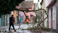 Drama i u Holandiji: Dve osobe poginule tokom oluje, drveće palo na njih