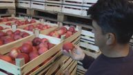 Jabuku najviše izvozimo količinski, ali nam ovo voće donosi najviše novca - čak 300 miliona evra
