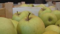 Jabuka spremno čeka: 1.200 tona kreće putem Rusije, ali malina bi mogla biti u problemu