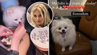 Mitrovićeva ćerka psu slavila rođendan u restoranu u Parizu: "Jagode i šlag" i šampanjac...
