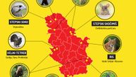 Na ovim mestima žive najugroženije životinje: Zaštićeno 2.500 vrsta, njihov opstanak zavisi od nas (MAPA)