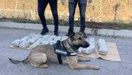 Na prelazu Gostun pas nanjušio 15 kilograma marihuane: Crnogorac krio drogu u "bunkeru"
