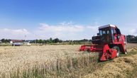 "Nije vreme za špekulacije, izvršen je nadzor, znamo koliko tačno ima žita": Nedimović o ceni pšenice