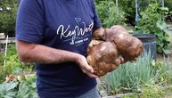 Da li je na fotografiji džinovski krompir, šta mislite? DNK analiza im pomrsila planove za Ginisa