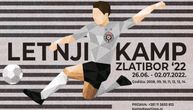 Partizan traži novog Vlahovića, Mitrovića, Ljajića, Milenkovića, Pavlovića...