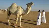 Zemlja pustinja i bogatog nasleđa: Saudijska Arabija se ponovo otvara za turiste