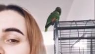 Mama je baš glasna: Papagaji zvukovima joj objasnili šta njeni roditelji rade u spavaćoj sobi