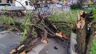 Polomljeno drveće u Bulevaru kralja Aleksandra: Snažno nevreme napravilo haos u Beogradu
