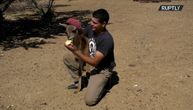 Spasio mladunče divlje životinje sigurne smrti: Sada ga hrani na flašicu i odgaja kao ljubimca