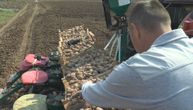 Umesto radnika krompir po srpskim njivama kupiće kombajn: Dejan iz Zablaće očekuje 50 dinara po kilogramu