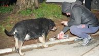 Tužna sudbina psa nakon požara u Beogradu: Izašao na neverovatan način, celu noć čekao vlasnicu koja je umrla