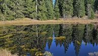 Misteriozno jezero čudesne lepote skriveno u četinarskoj šumi: Tičar na Goliji prate dve legende
