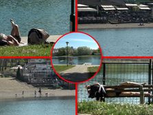 April u Beogradu, a na Adi već počelo leto: Prvi kupači otvorili sezonu, ima i roditelja s decom