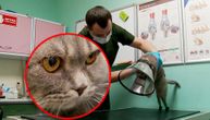 Amputirali mu zadnje šapice, uskoro će ostati i bez prednjih: Vlasnici odbacili mačka zbog neizlečive bolesti