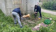 Fotografije oštećenog spomenika na Fruškoj gori: Stavili prase na ražanj, a vatru zapalili tik uz spomenik