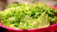 Da li cenimo dovoljno ovo povrće? Za komad salate Amerikanci izdvajaju i do 1.200 dinara