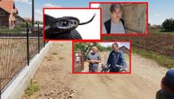 "Bila je crna kao zemlja": Nišliju zmija iz trave zgrabila za nogu, mislio da je poskok, pa završio u bolnici