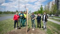 Meridian ozeleneo Srbiju: Velika ekološka akcija donela novo drveće za celu zemlju