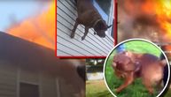 Dramatičan snimak: Pas se skokom kroz prozor spasio od vatre koja je progutala njegov dom
