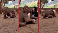 Slončić je ugledao ženu koja ga je spasila, njegova reakcija topi srca: Bukvalni dokaz izreke "Pamti kao slon"
