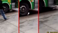 Mačka "samoubica" skočila pod autobus, sekunde su je delile od smrti: Jedva je izvukli ispod točkova