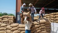 Šta se krije iza odluke Indije da zabrani izvoz pšenice? Ta zemlja je drugi vodeći proizvođač