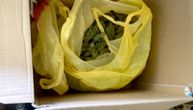 Hapšenje u Donjem Milanovcu: U stanu muškarca pronađeno više od 20 kolograma marihuane