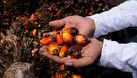 Rasulo zbog palminog ulja: Ilegalni izvoz uzeo maha, a cene rastu - farmeri izašli na ulice
