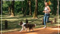 Najslađa trka održava se 5. juna na Ušću: Pored patika vlasnika tapkaće i 4 šapice njegovog psa