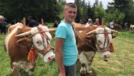 Najbolje rabadžije okupile se u selu Ojkovica: Najmlađi Petar ima samo 19 godina i veliko iskustvo sa volovima