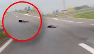 Strašan prizor na auto-putu kod Batajnice: Muškarac leži ispod nadvožnjaka